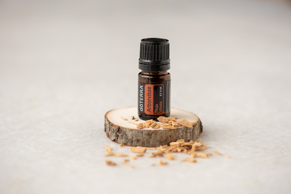 doTERRA Arborvitae Lebensbaum