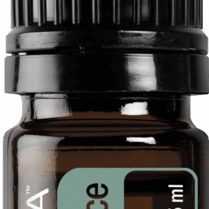 doTERRA Schwarzfichte ätherisches Öl 5ml Flasche freistehend