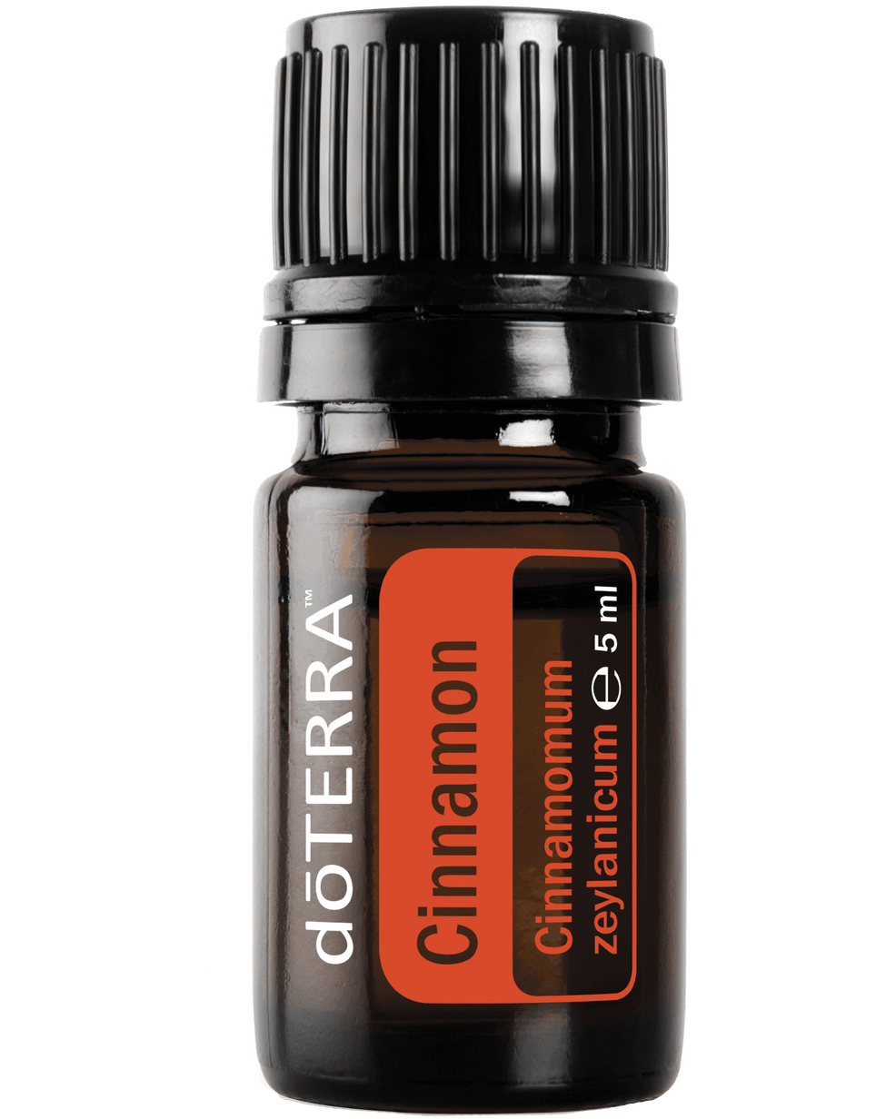 doTERRA Zimtrindenöl ätherisch 5 ml Flasche freigestellt